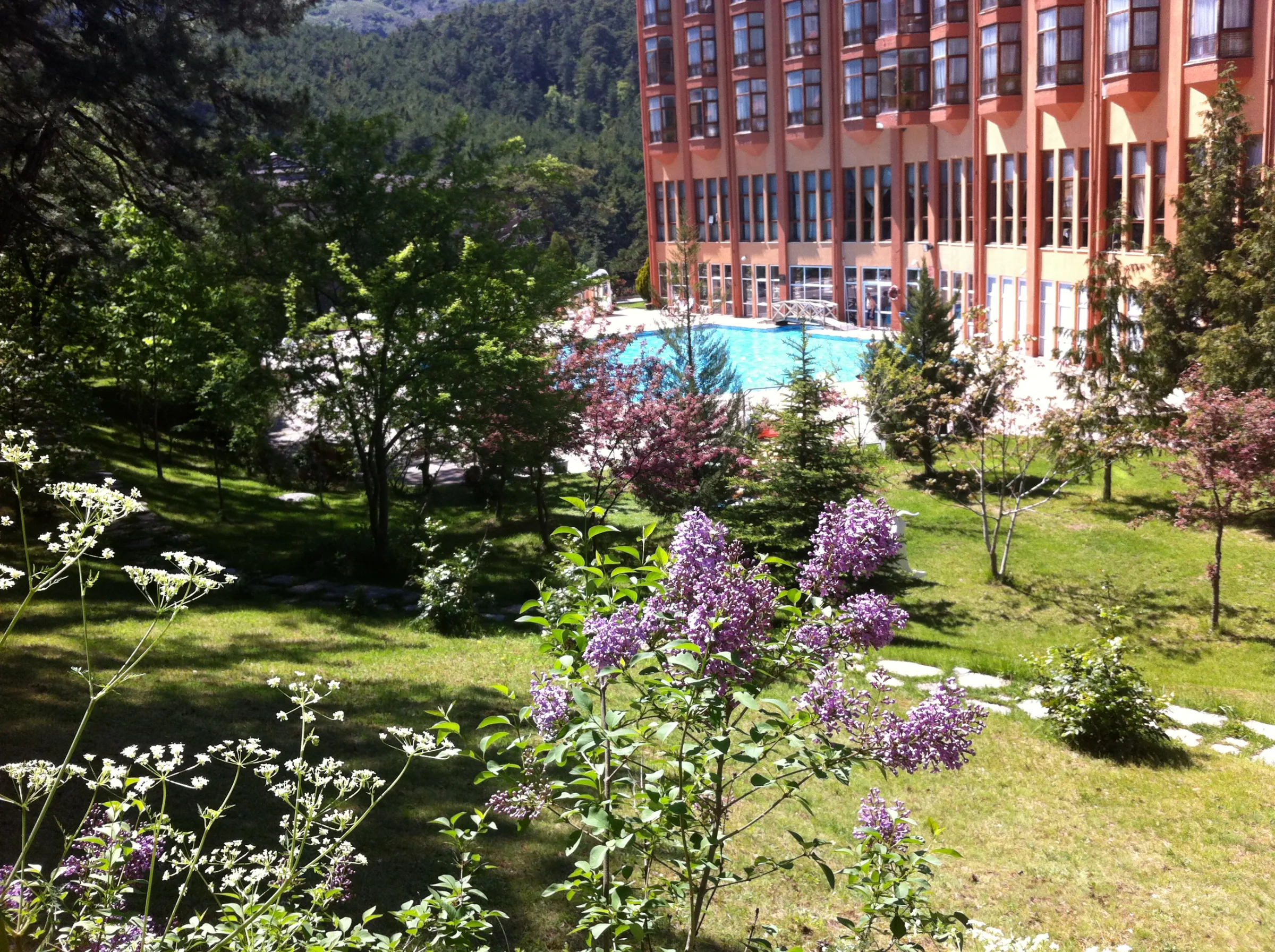Patalya Thermal Resort Hotel'in yüksek cephesi önünde açık yüzme havuzu, ağaçlar ve çiçekli bahçe