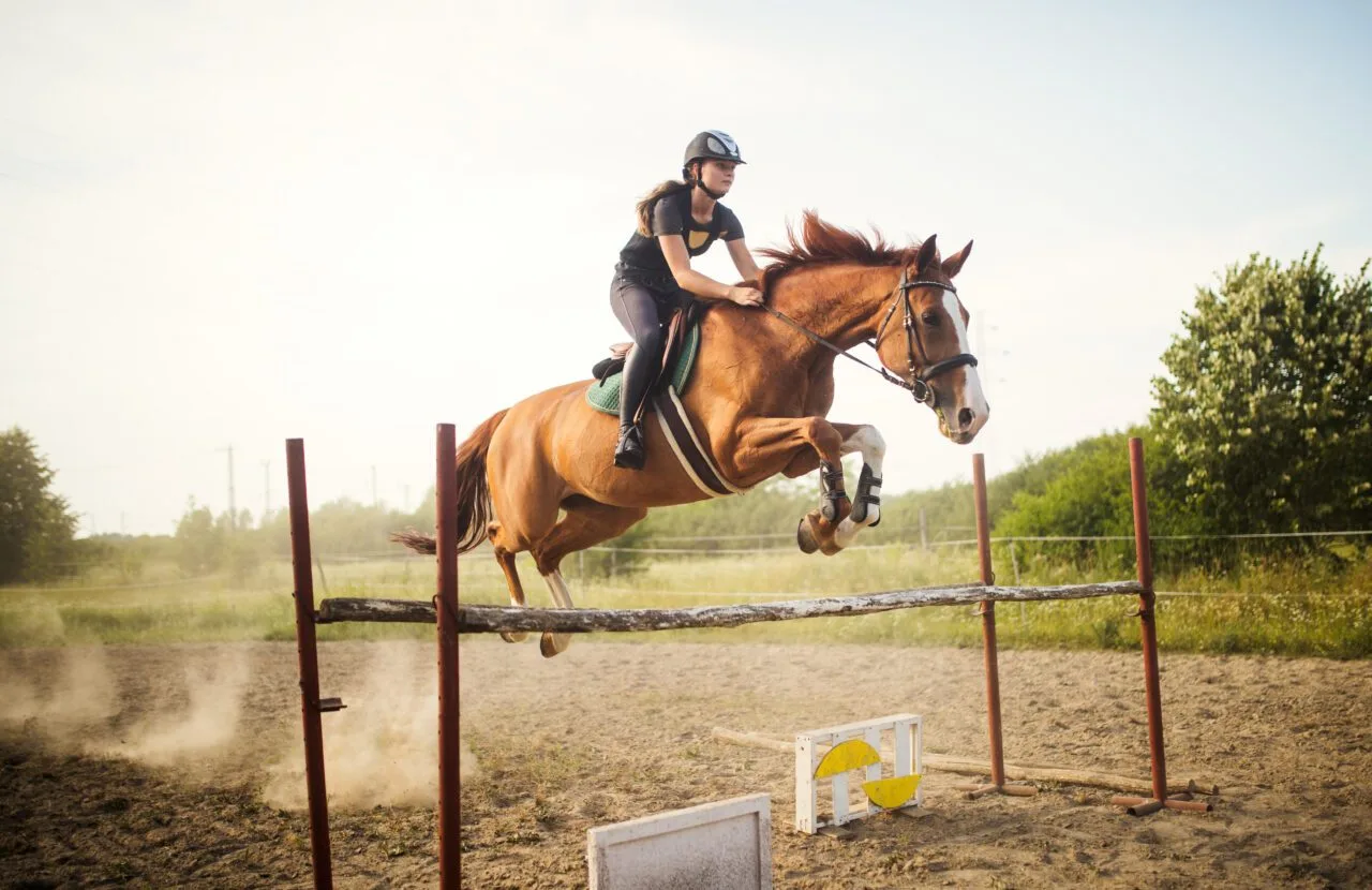 Rider on horseback jumping a hurdle at Ankara Atlıspor Club