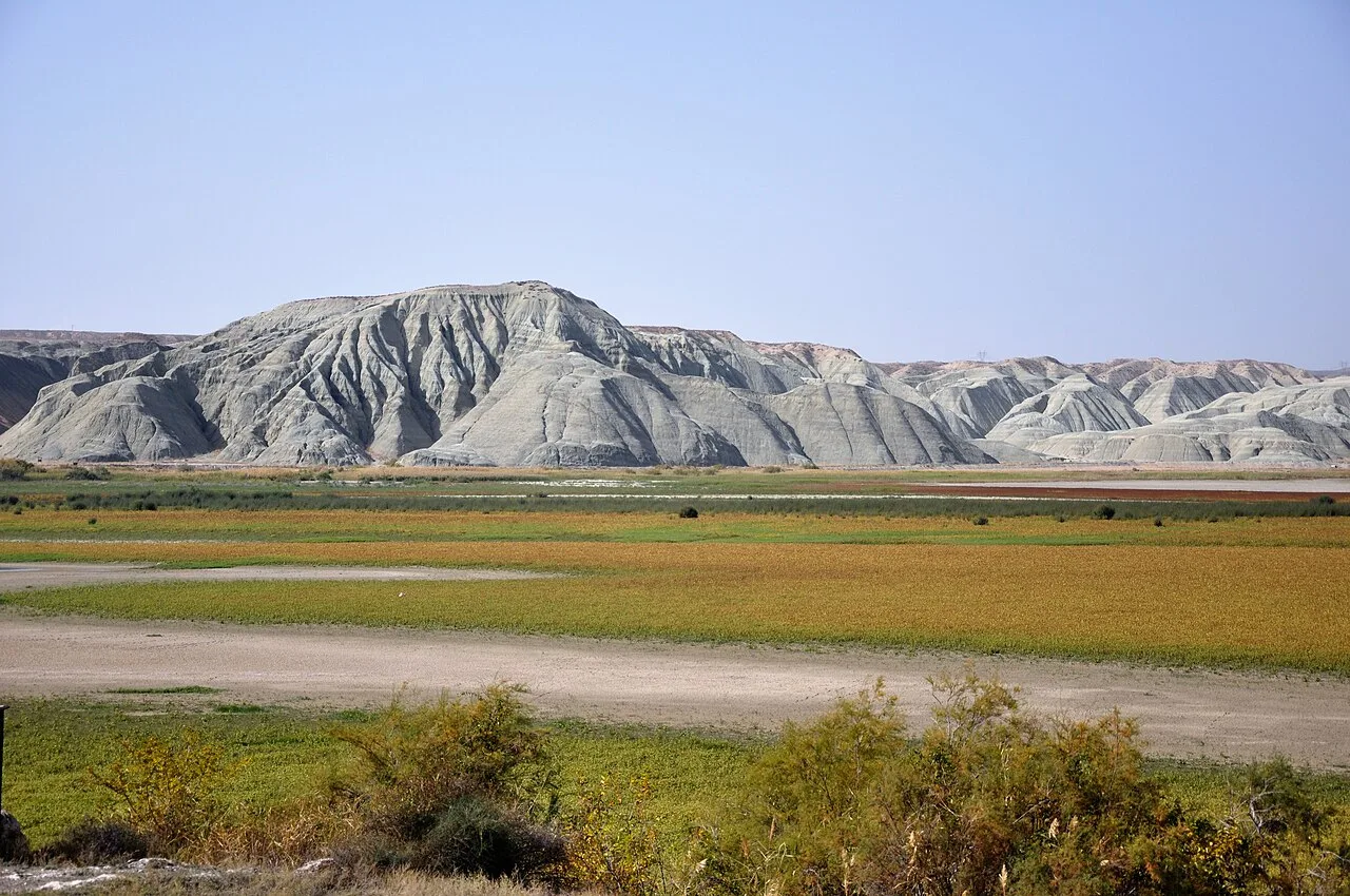 Pale eroded hills behind wetland vegetation at Nallıhan Kuş Cenneti